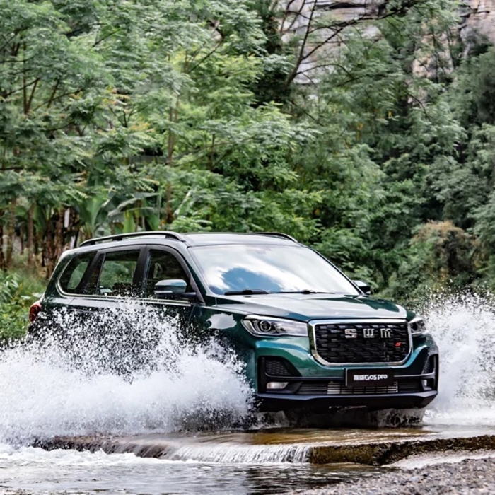 SWM G05, Pro, manual, 1.5 T benzină, 7 locuri 