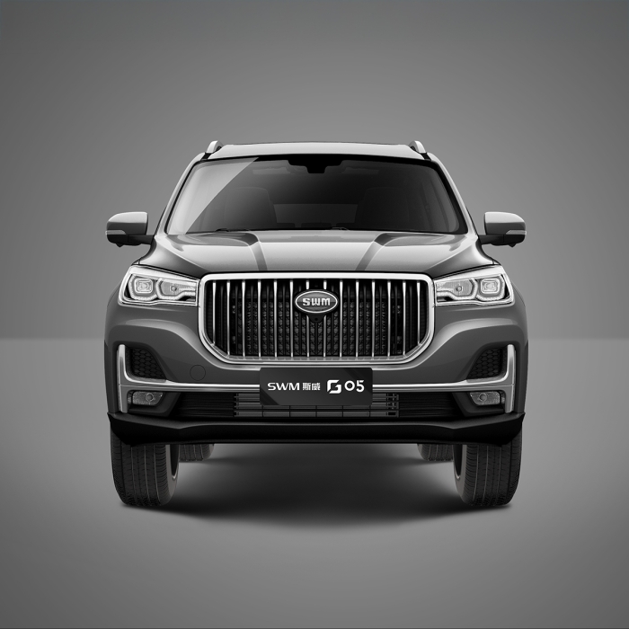 SWM G05, Pro, manual, 1.5 T benzină, 7 locuri 